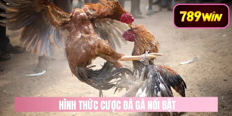 Các Hình Thức Cược Đá Gà Nổi Bật Tại 789WIN 
