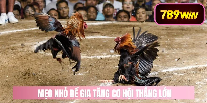 Mẹo Nhỏ Để Tăng Cơ Hội Chiến Thắng Lớn 