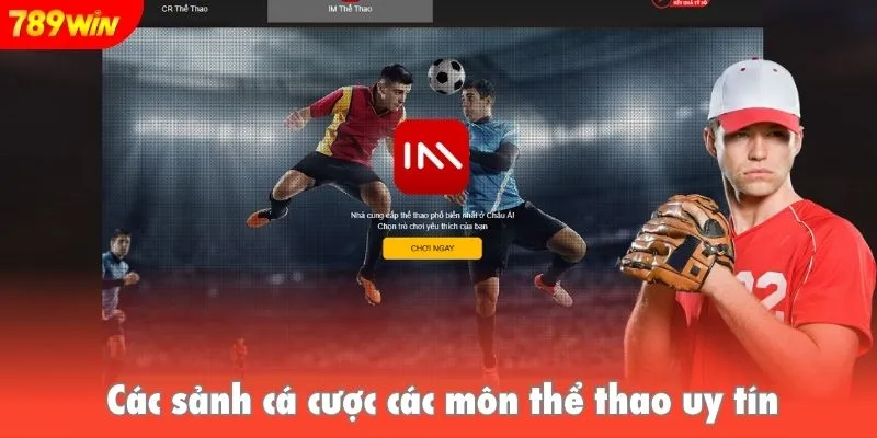 Các sảnh cá cược các môn thể thao uy tín